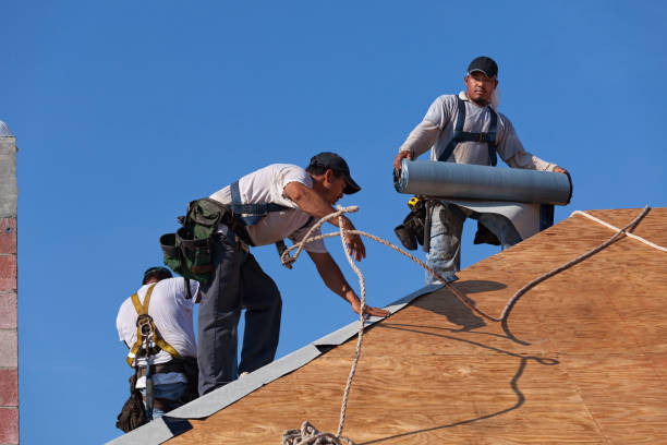 Best Roof Leak Repair  in Shandon, CA